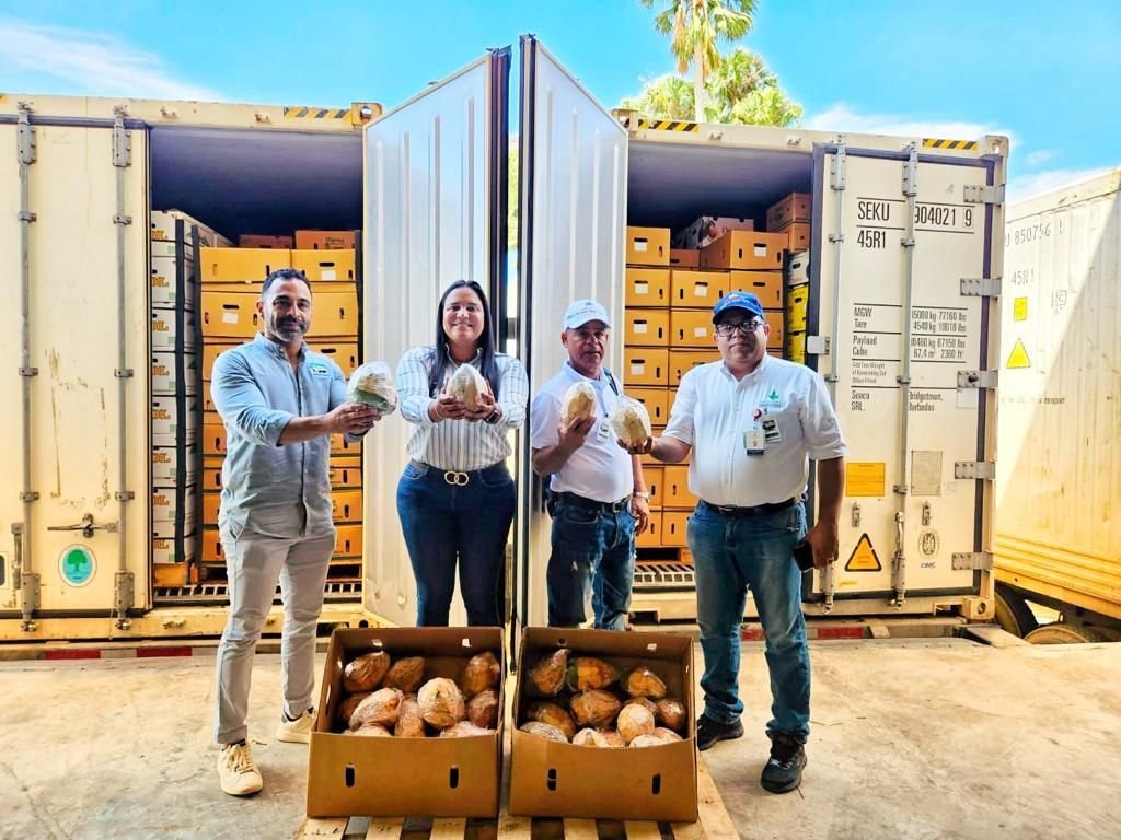 EE.UU., recibe primeros contenedores de cocos de agua desde República Dominicana