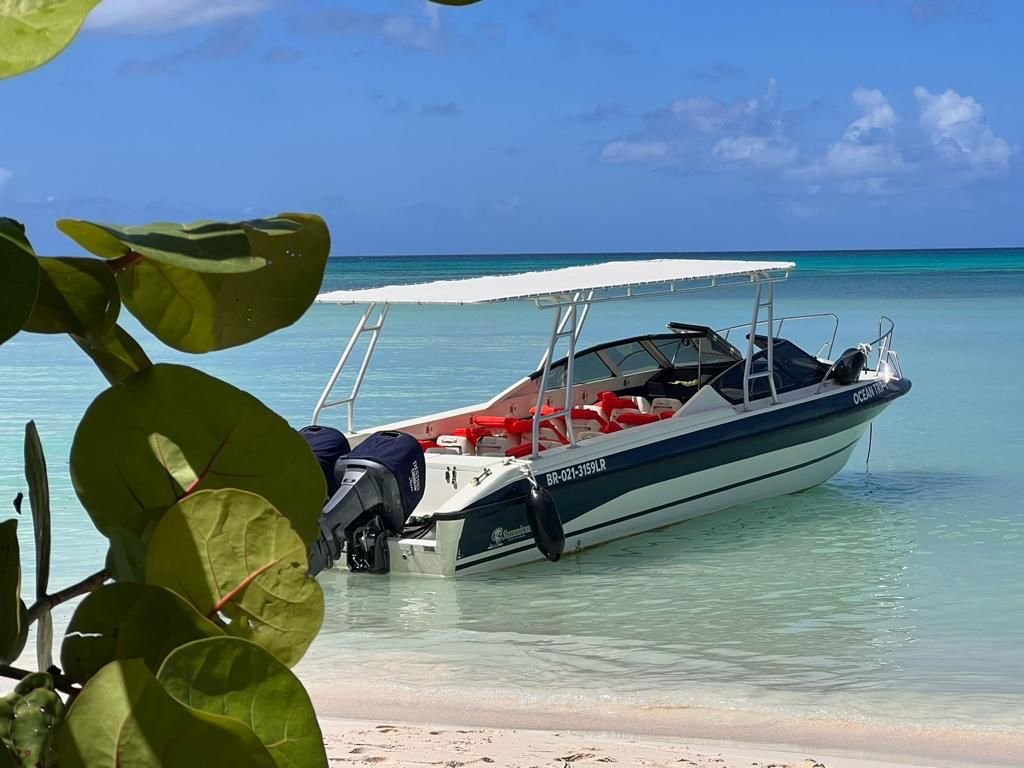 Empresa extranjera turística denuncia agresión por parte de la Asociación de Transporte Acuático de Bayahibe 