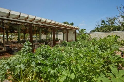 Cayo Levantado Resort: el lujo de fundirse en la naturaleza de una isla paradisíaca
