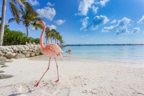 Sector de viajes y turismo contribuirá con más de 91 mil millones de dólares a la economía del Caribe