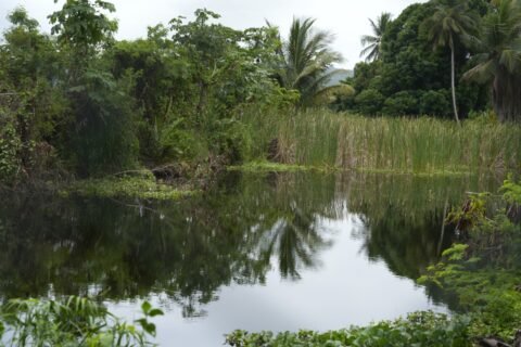 Medio Ambiente se reúne con organizaciones de la sociedad civil de Puerto Plata comprometidas con la protección de Cabarete y Goleta