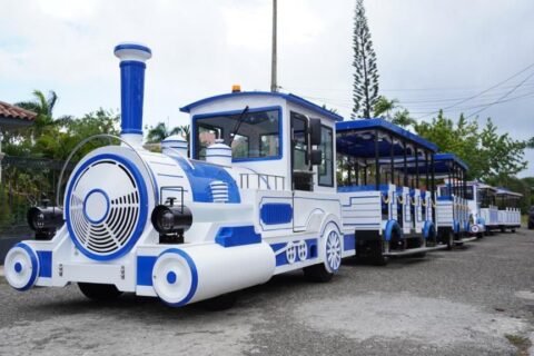 Cancelan Tour Tren Turístico en Puerto Plata incumpliendo con línea de cruceros