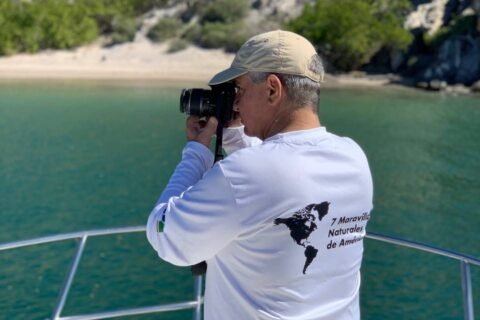 Día Mundial de los Océanos, una fecha dedicada a reconocer la mayor maravilla de la naturaleza