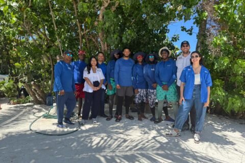 Empresa dominicana líder en recolección de sargazo en el mar consolida sus operaciones internacionales bajo Grupo BlueGea